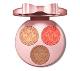 پلت صورت لیمیتد ادیشن مک MAC رنگ medium